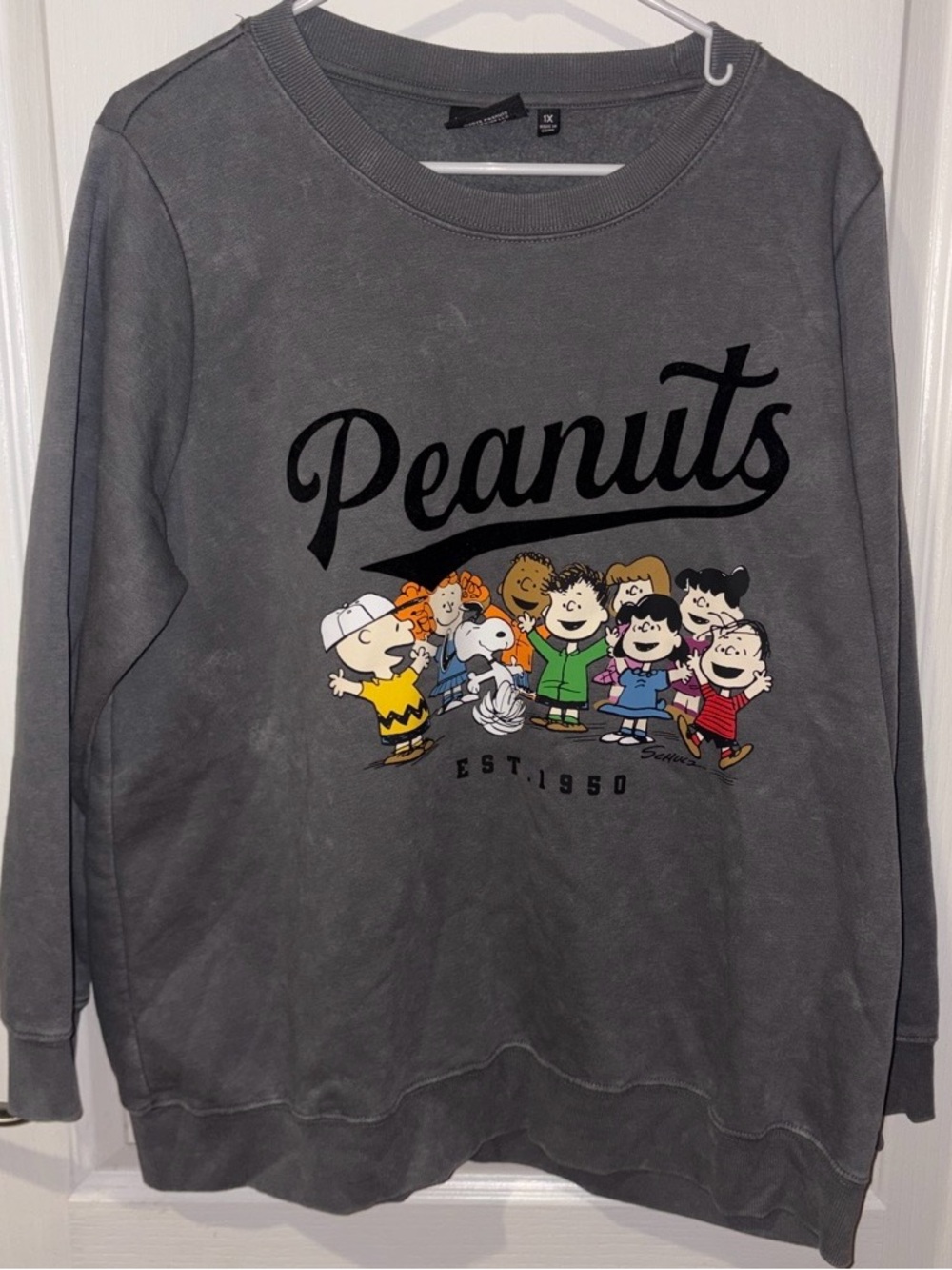 Peanuts Crewneck Sweatshirt - Gray with Multicolor Characters